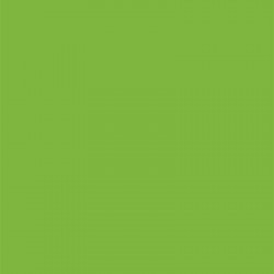 Cône Sensa Green 40 - Coloris 049 - 5000 mètres