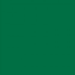 Cône Sensa Green 40 - Coloris 250 - 5000 mètres