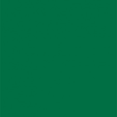 Cône Sensa Green 40 - Coloris 250 - 5000 mètres