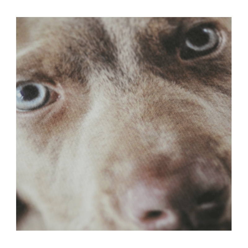 Forever Ink-jet basic WT